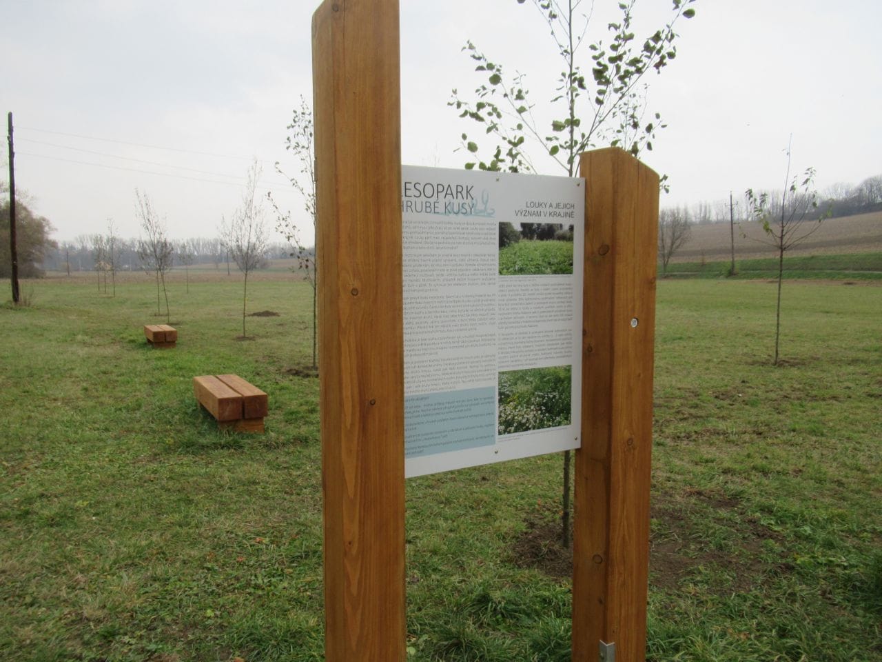 Lokální biocentrum RAKOVEC – povodňový park „Hrubé kusy“